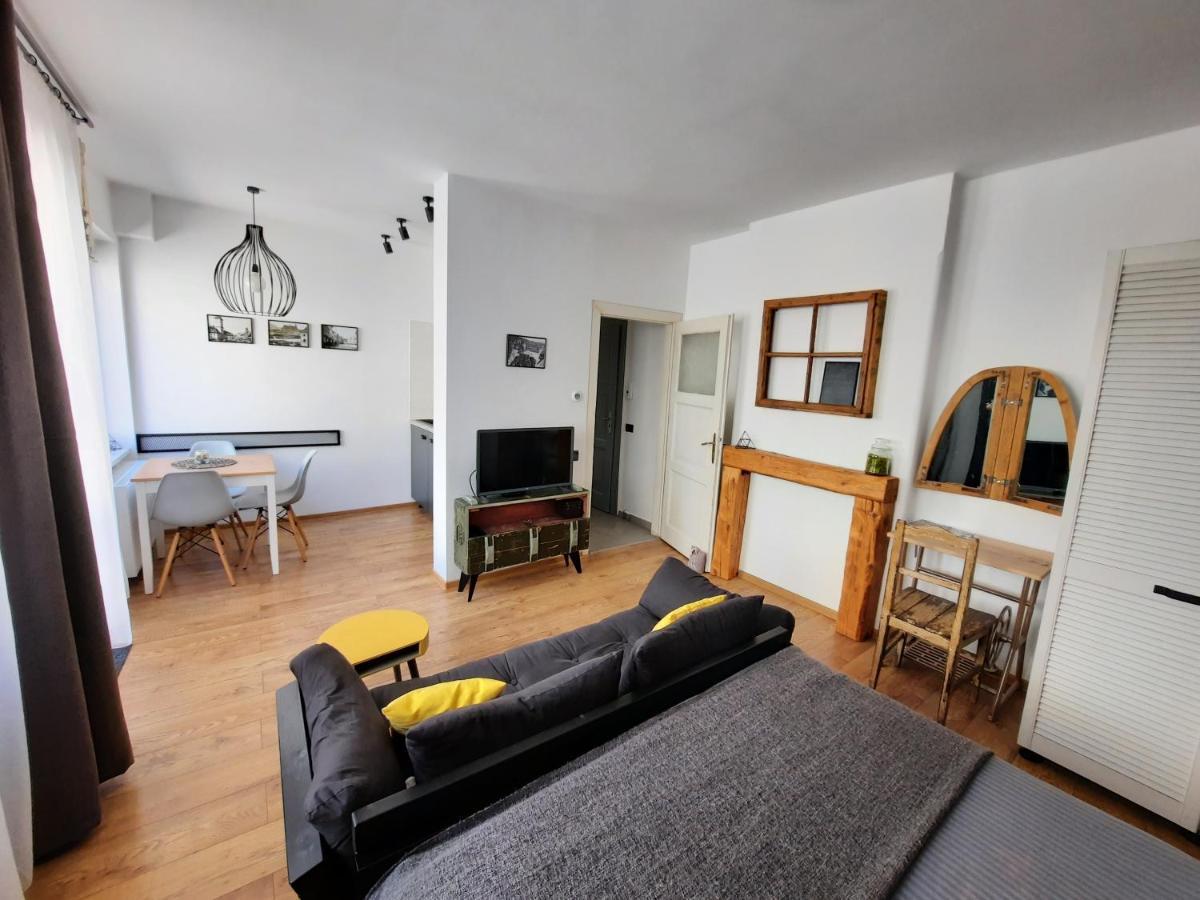 Pif Apartments Sadoveanu ブラショフ エクステリア 写真