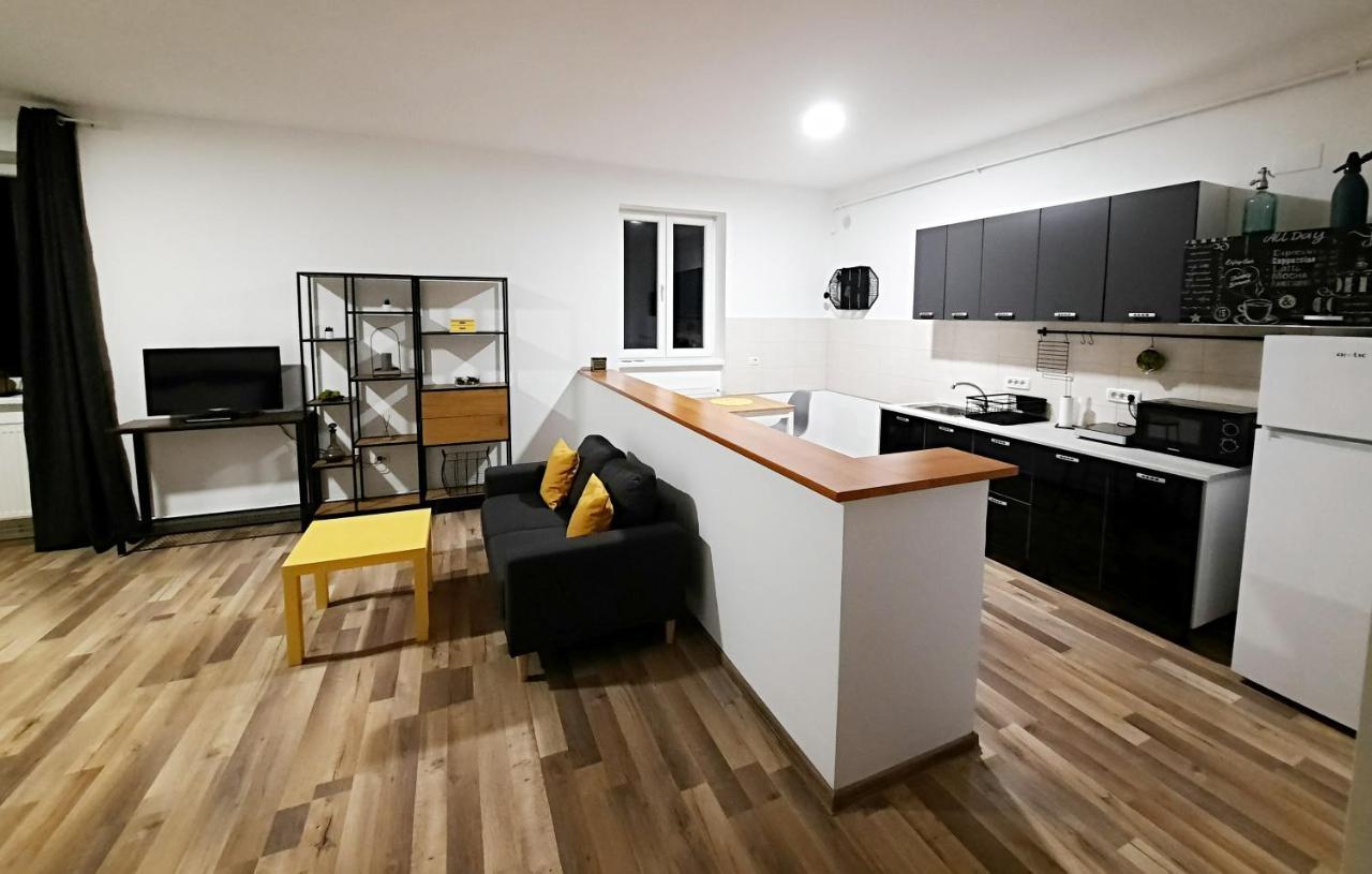 Pif Apartments Sadoveanu ブラショフ エクステリア 写真